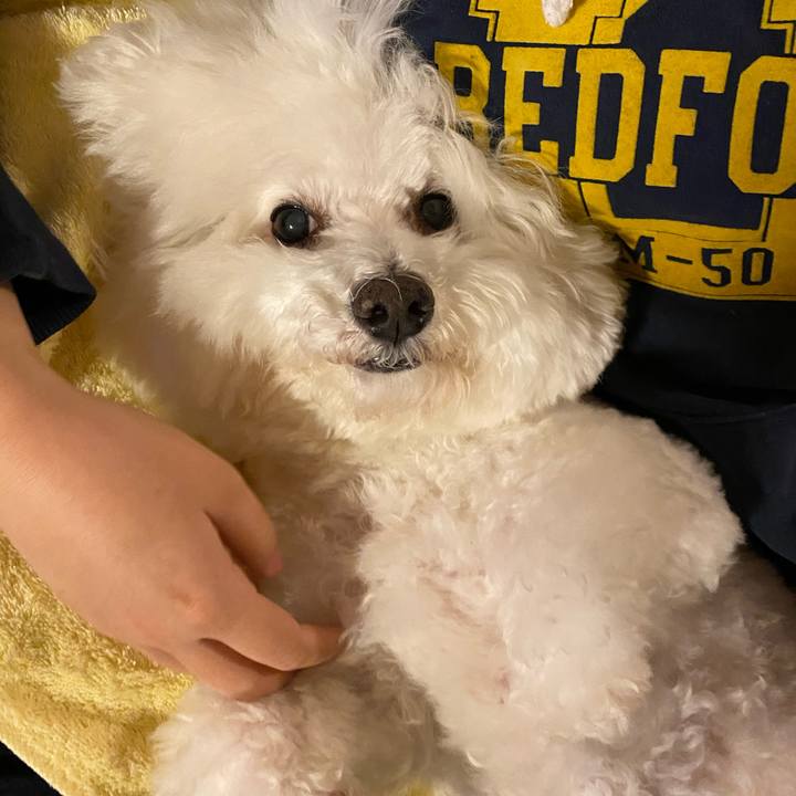 879c1645 9c77 42d4 9371 dbaa635dcf6e 1610273921666