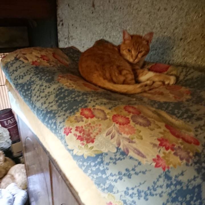 879c2400 e195 4c9d 8fa4 7685532aee96 1593303001946