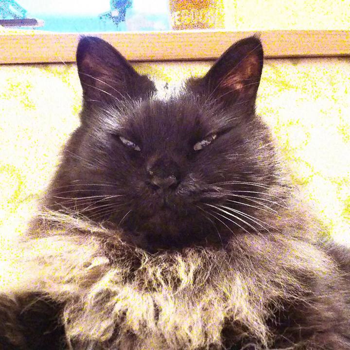 879c539a 80e8 4a43 a13d 513f59e0cf6f 1513952509130