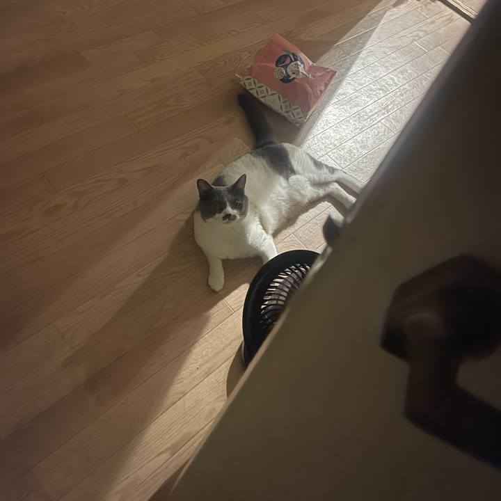 879c746d 02af 4792 ab56 7cd48592e6df 1754237046433