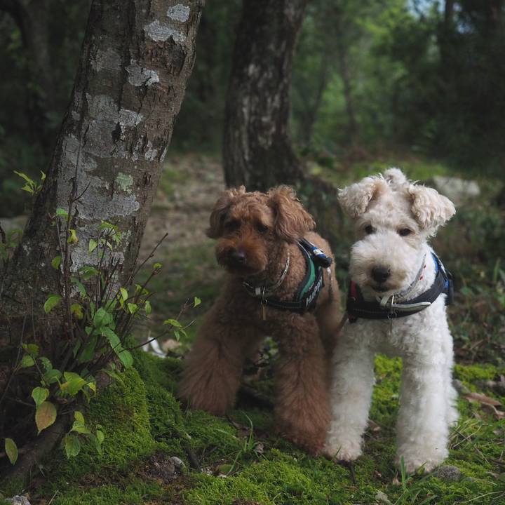 879cb364 c28b 4775 a55f cb308dde3b36 1567522538449