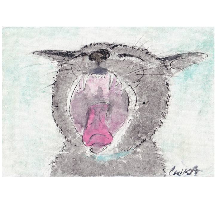 879cd640 62f6 43c1 a765 9801123dcdc7 1762255264756