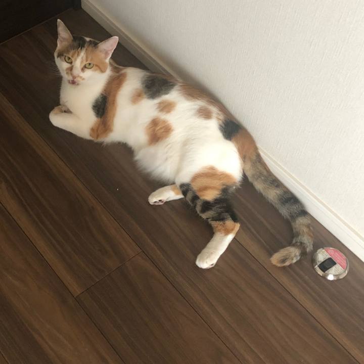 879cfed9 2b74 4643 a6e6 aa36a85d205a 1599521926111