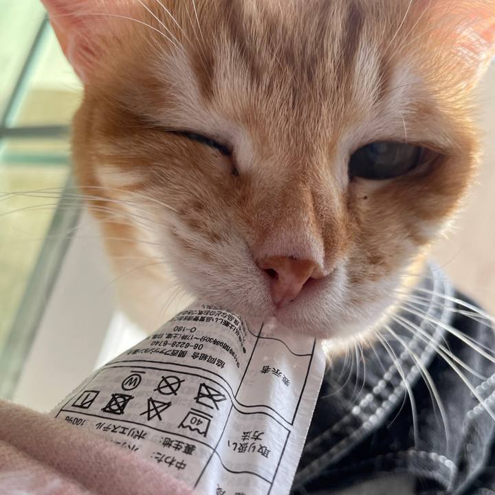 879d036f 56c5 4241 958a cd9e6503a3b7 1647083390207