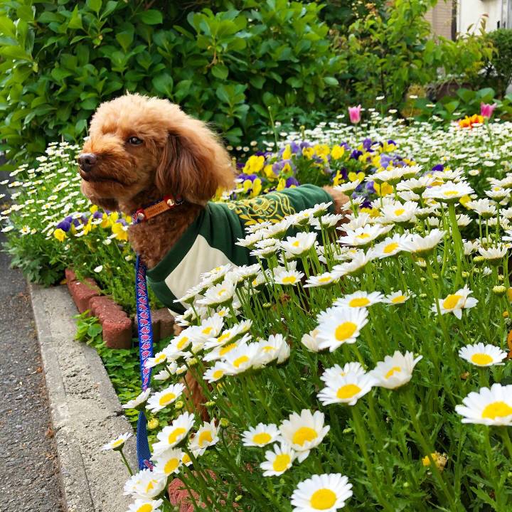 879d31bc 3c6b 4bbd bf08 225ff934dcf4 1588554446946