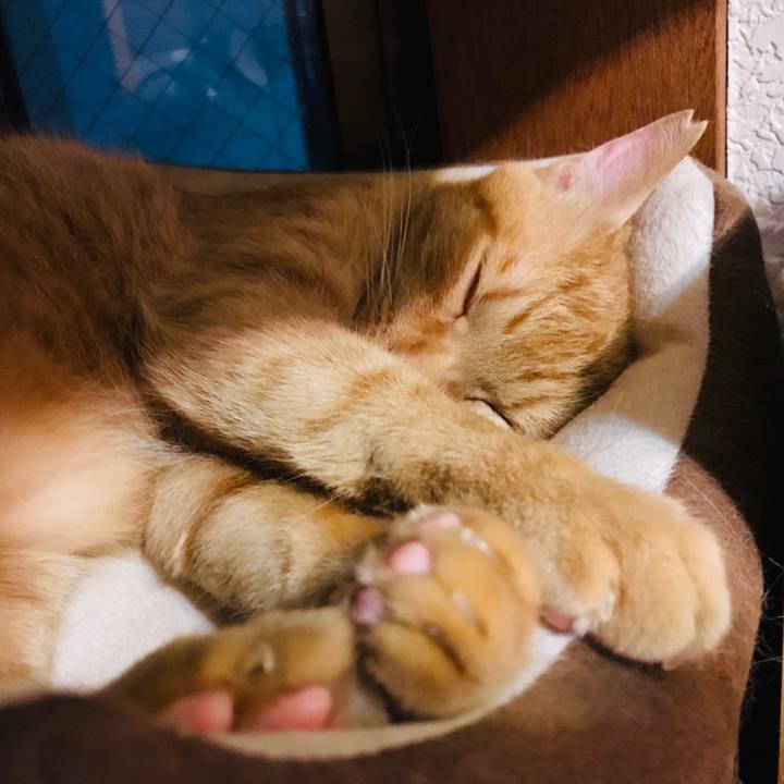 879d40f1 3624 407e 8478 01d382ba5433 1593267028751