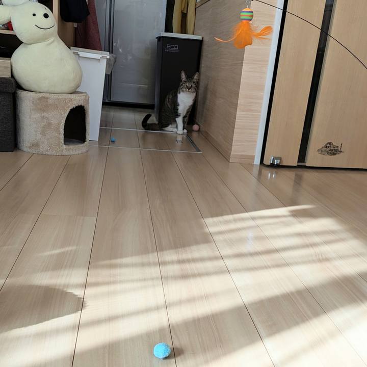 879d50a1 da0c 48d8 a926 897719fdcd59 1708130291078