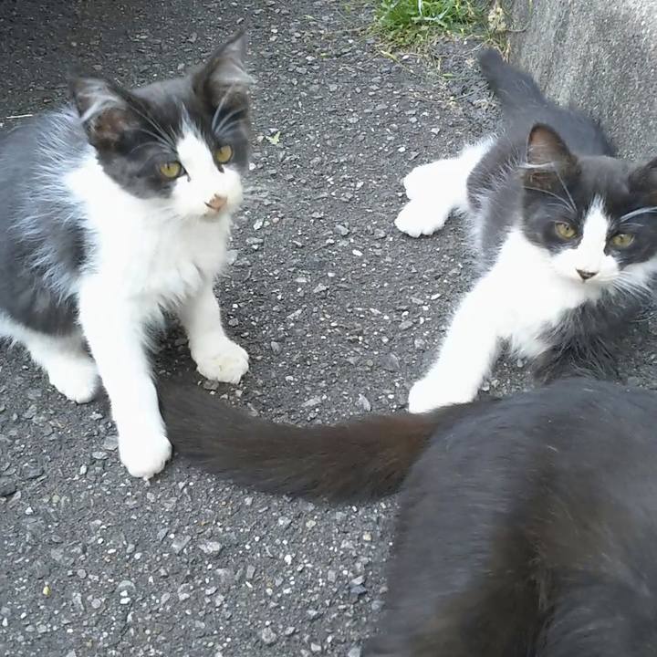 879d58db a5b0 4e97 b4a9 47628a8621c4 1561518180959