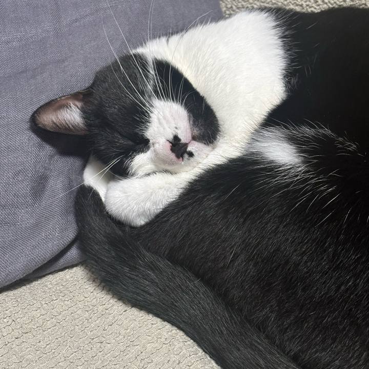 879d5d94 cf73 4498 8e7f 3320077e9105 1761791692085