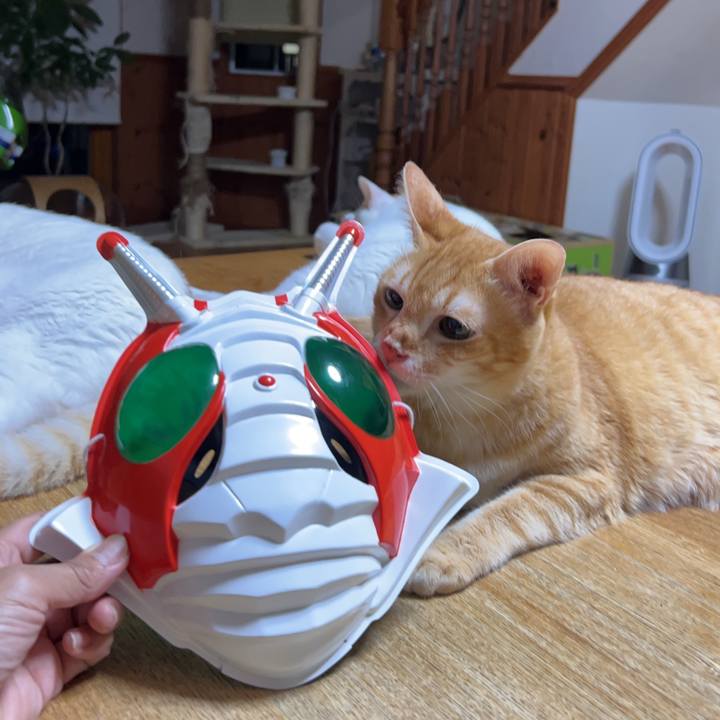 879da26d 18ee 4010 ab7c ac5aca187269 1691354636407