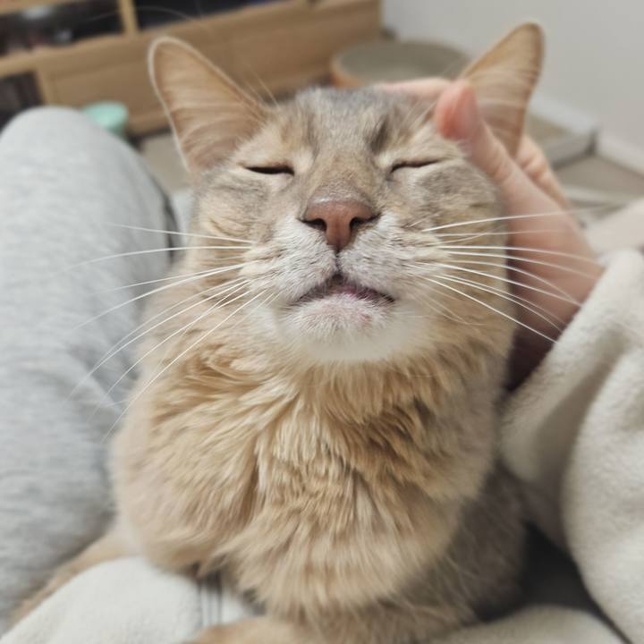 879da501 350d 4815 97bc f16cc0d2ca4f 1767686607427