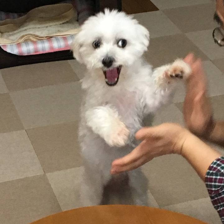 879dd709 ec20 4171 882d 9074bb368e10 1561878361064