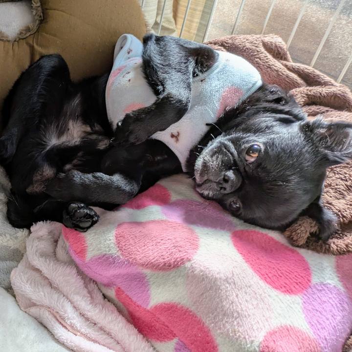 879e0d69 4f62 4372 8342 5071063cee2b 1771144924844