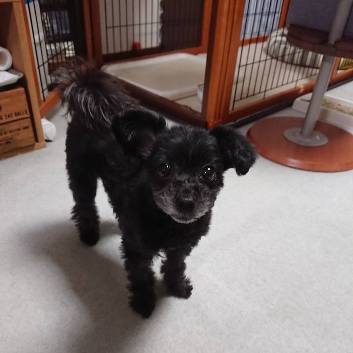 879e0de4 0cf6 4741 8e1a b1f7ae6b3bd0 1548948757513