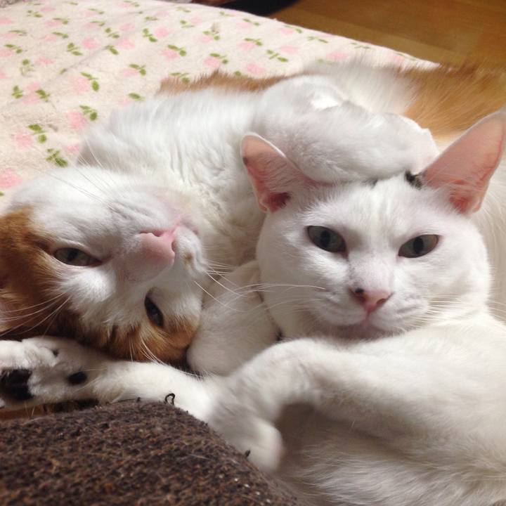 879e14e5 0974 4be1 a029 0382fc13bfc9 1510647032769