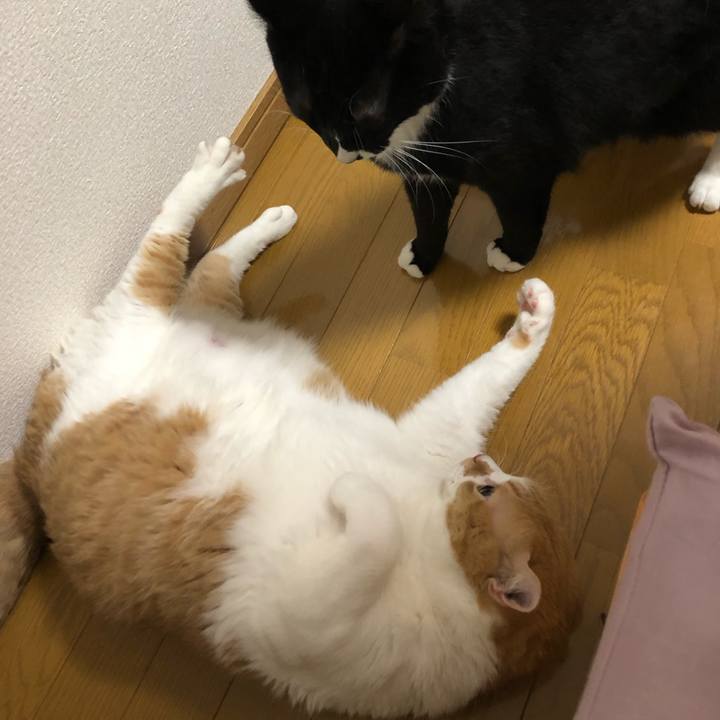 879e1640 0bdd 4e73 b75d 3db10fa9588e 1565043314922