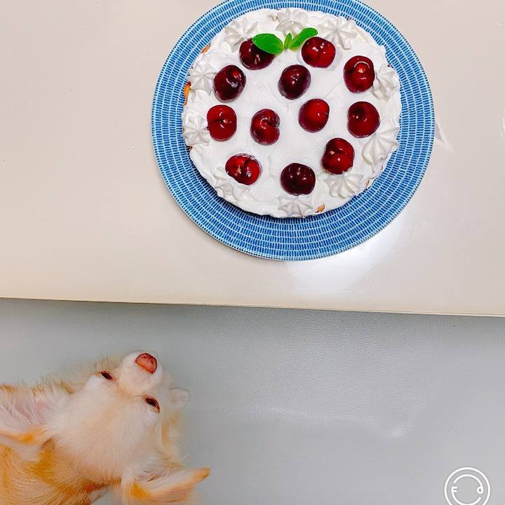 879e1dbe 335c 4fc6 9a75 42d9d407457d 1622119344280