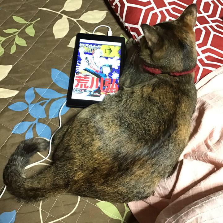 879e2d7e 87a0 427d a746 608416c9ede2 1611137810347