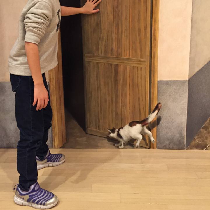 879e3d54 f356 457a 9579 fe9946ec6b01 1514150469445