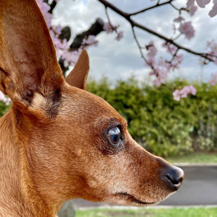 879e9d76 a551 4a30 9254 bc2c4d3e7858 1682850707385