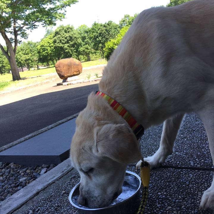 879ee73f 5203 4471 b92b 2fbd2a0f4ce2 1526950187604