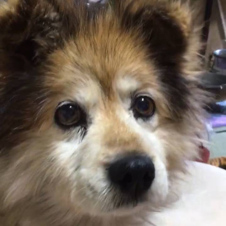 879ef36c 93bc 46ee 924e 53b03e73b252 1585660178397