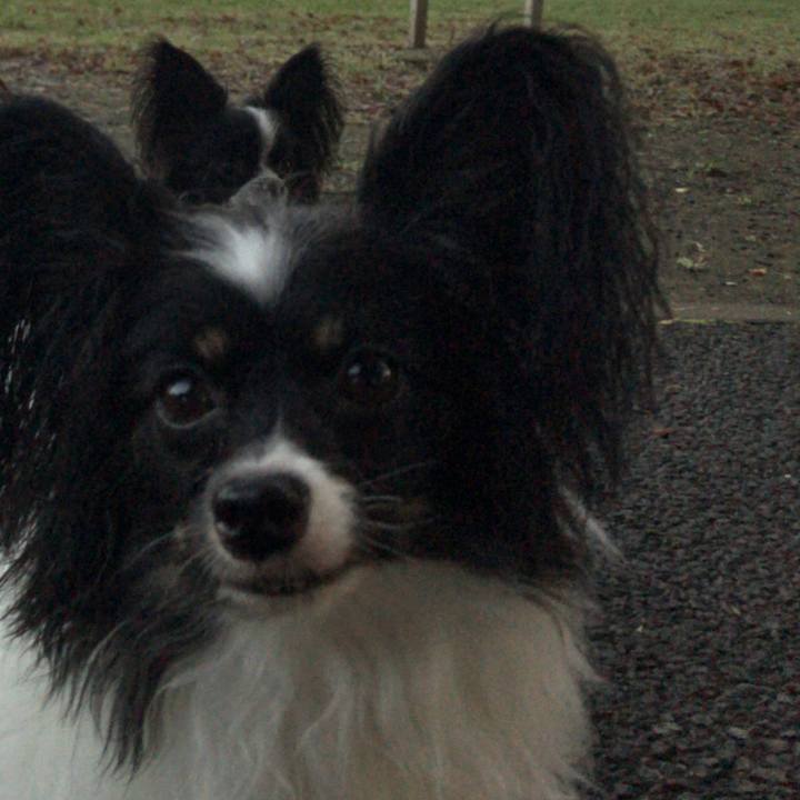 879f27ee a69e 4390 bc21 11cab6db2c1d 1508296611205