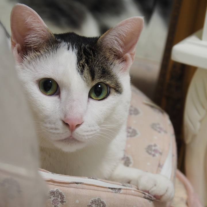 879f2aa6 448a 4634 87b8 2d9e8ac1b80c 1560086528741