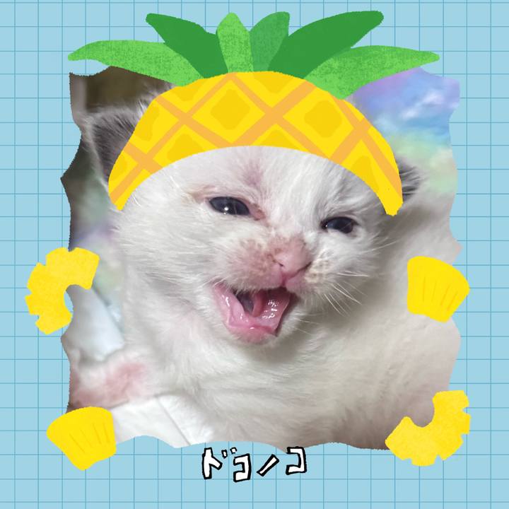 879f3d06 e049 443f a882 0ca869ae1088 1783598487890