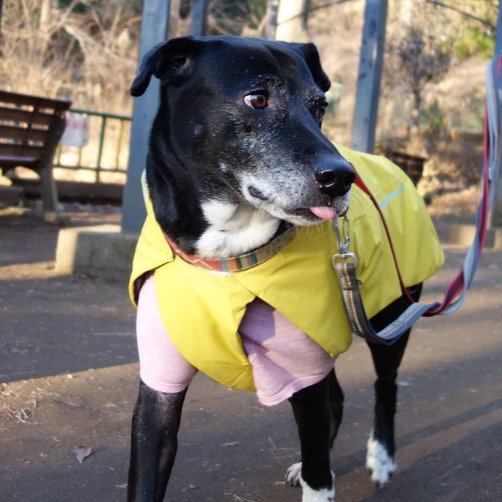 879f91d5 3939 4a5a ab3b 63e259523272 1738197830410