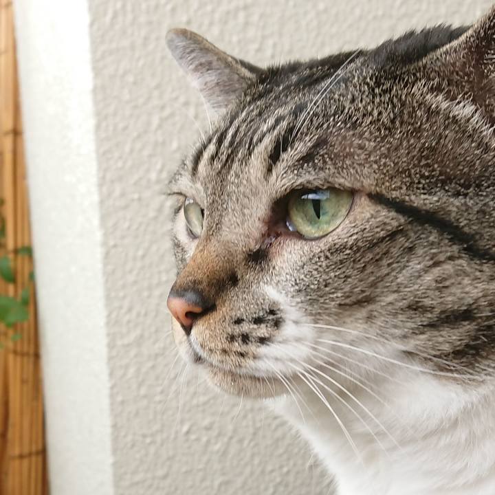 879fcb66 71f6 4088 b423 25e937470e2f 1532736760804