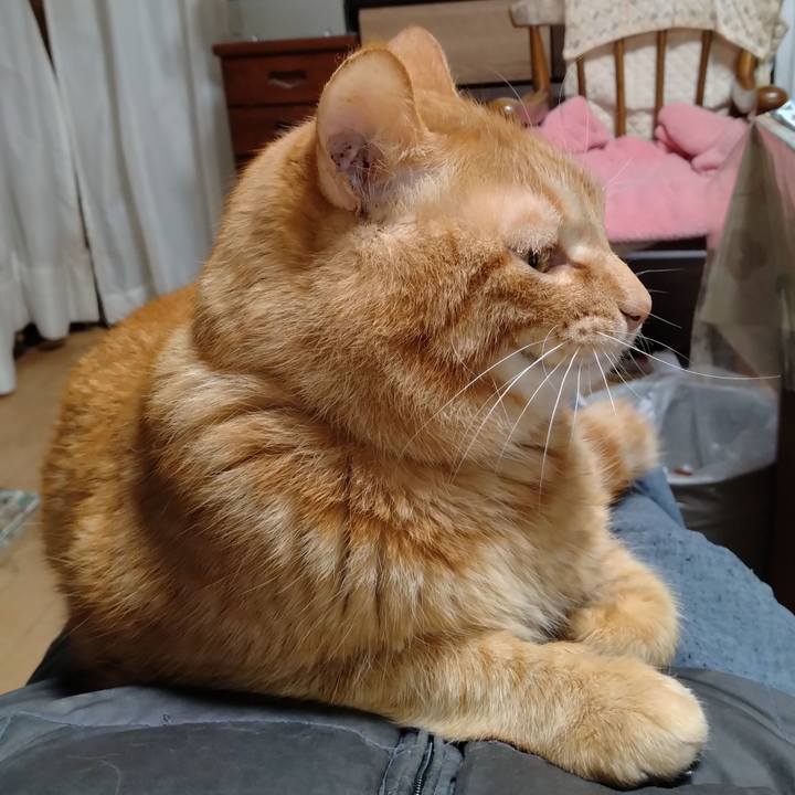 879fed5a d2b0 4450 91ff 4541faa03a12 1710244753718