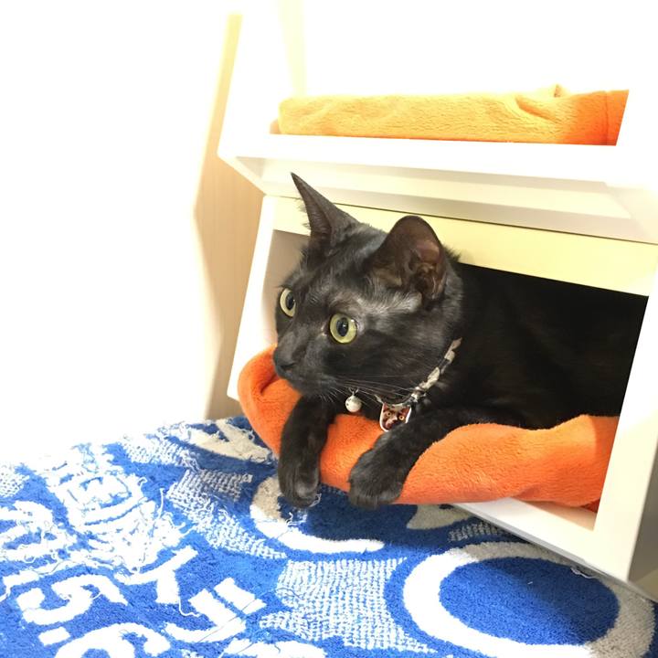 879ff2b6 e19b 42a6 9faa de13256893d7 1536847178269