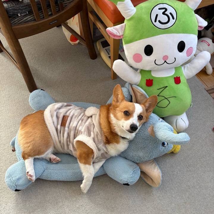 879ffb15 d7e5 49b1 a2bc 4f6c38935035 1768370054596