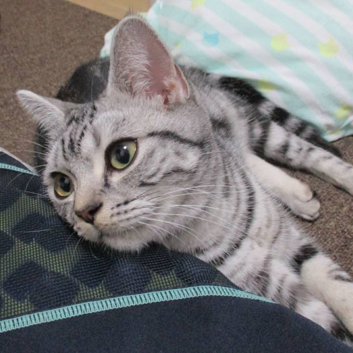 87a015d6 8112 47d1 811e 8728dd6899e1 1543657279701