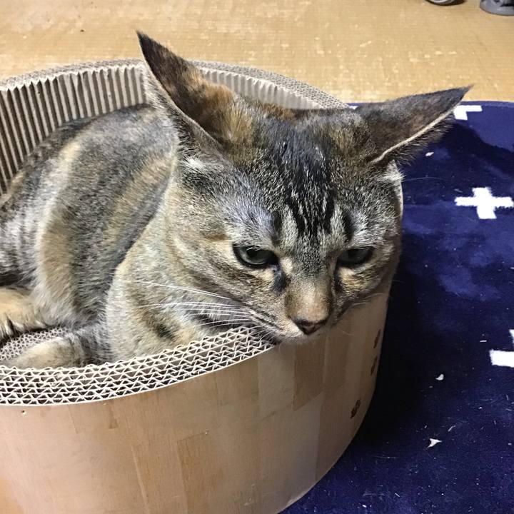 87a0368d e3fb 4c66 8283 36787c3c67a6 1710586301596