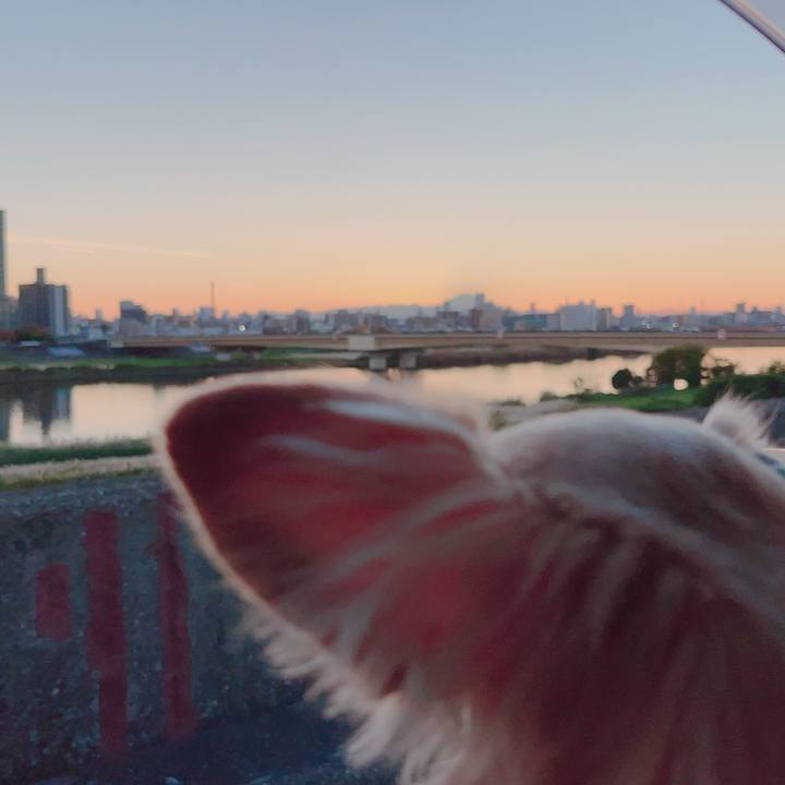 87a082f6 84d2 41b8 9207 ee796c62e98f 1700395987622