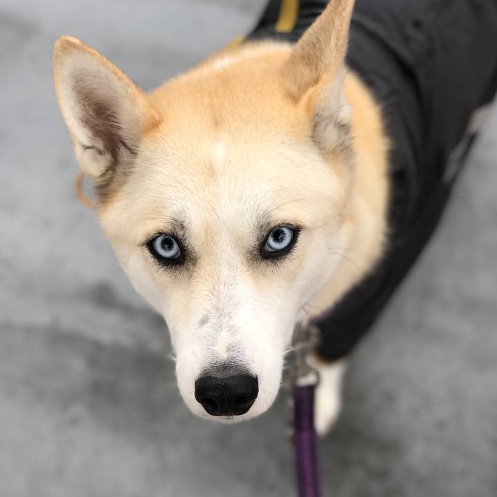 87a08a45 0bcb 468e 9932 64f7ea6c813c 1508195562193