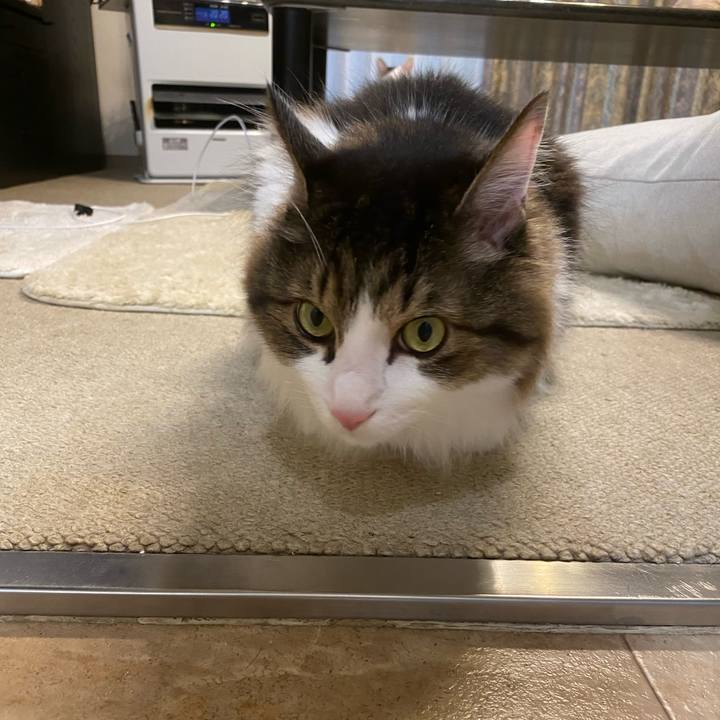 87a0a680 8d39 46de be05 9b68eb3e7bbf 1668466081640