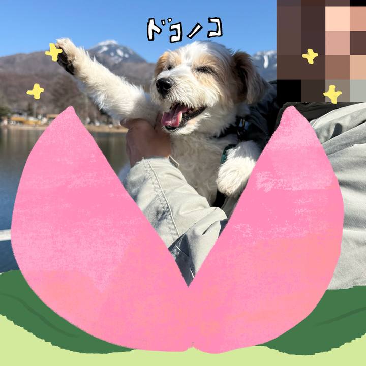 87a10d0b 2676 4f24 9087 ae4c8e81e766 1771917799290