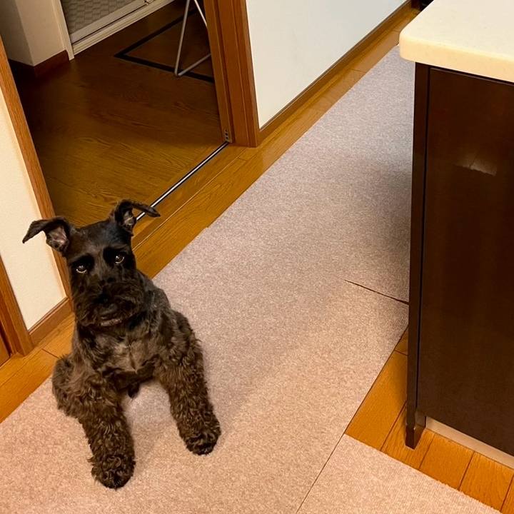 87a11d19 0cf4 43b5 859e e89232063026 1750761213071