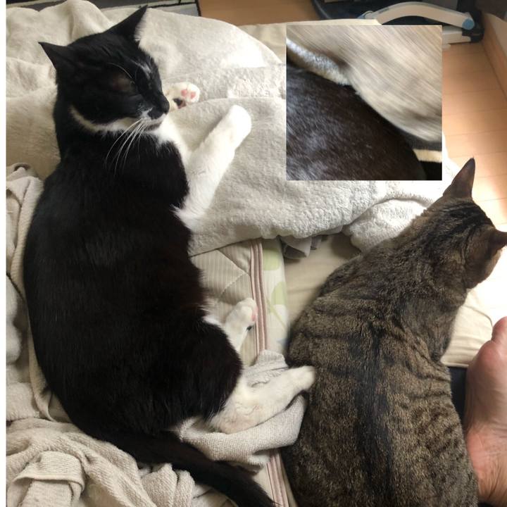 87a1473f 36a3 4fe9 bb4d 7a3c12dc18d2 1594567094429