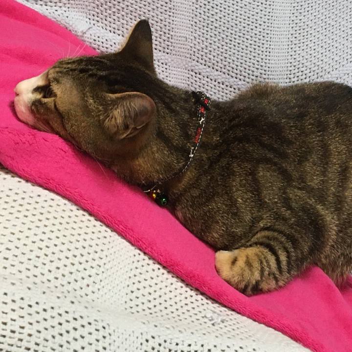 87a14ede 9e13 41eb afbe 0f81ba9754a9 1683826741256