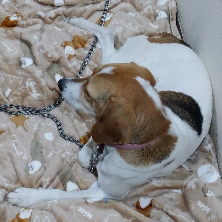 87a16719 ffe7 41d2 a138 3169026bb0f1 1581585068885