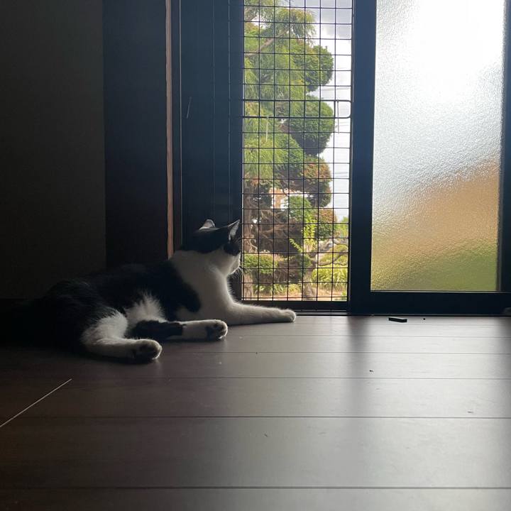 87a18a12 e1e7 4237 9134 2f924617d7f0 1722441855197