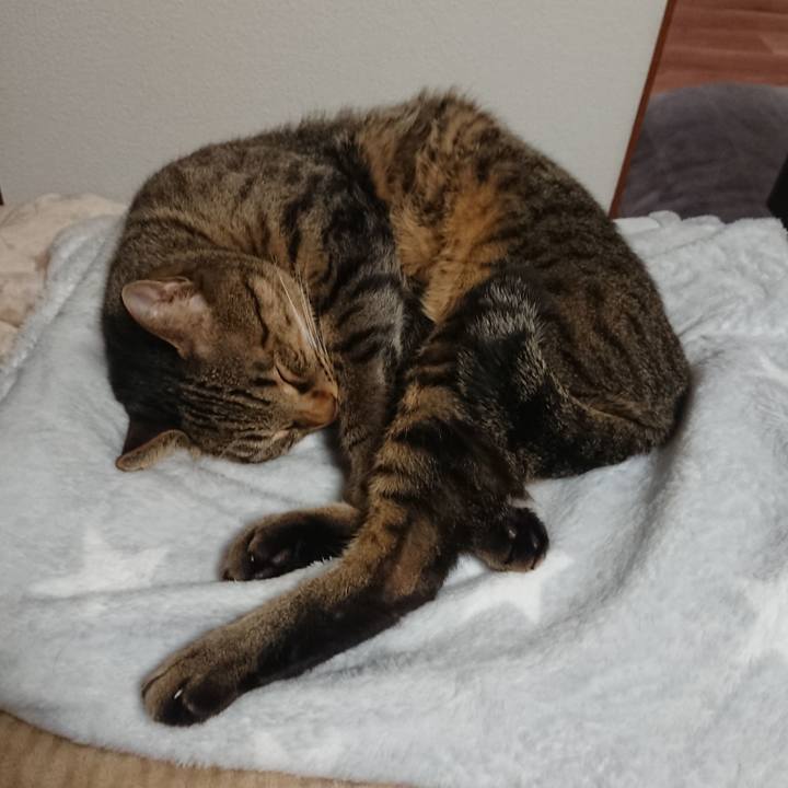 87a230d9 872f 4c02 9e7f 5b35c10871ba 1545490700467