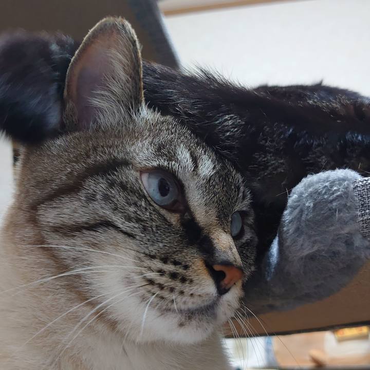 87a23d10 df63 4bf7 90e1 c4c81c8d6e19 1683898191322