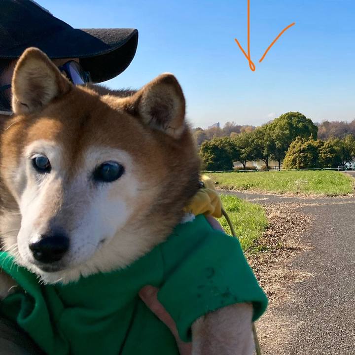 87a2428e 7a94 4db0 928c 09563e5de05c 1703477050525