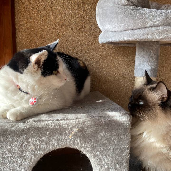 87a24b60 4fff 46ee af75 fdbcdaae1814 1643541609276