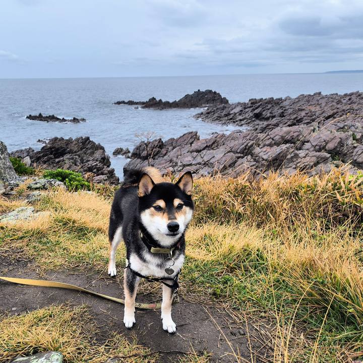 87a24c0f 2e31 4a19 b35e eab2ec4996e7 1761919508095